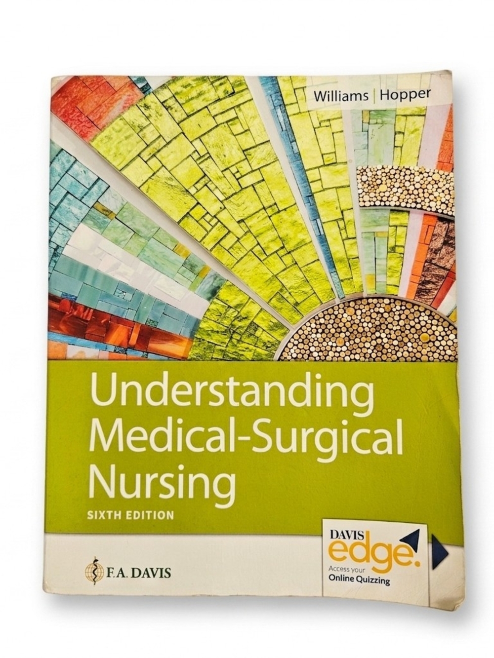 ​Understanding Medical-Surgical Nursing 6th Ed Textbook
